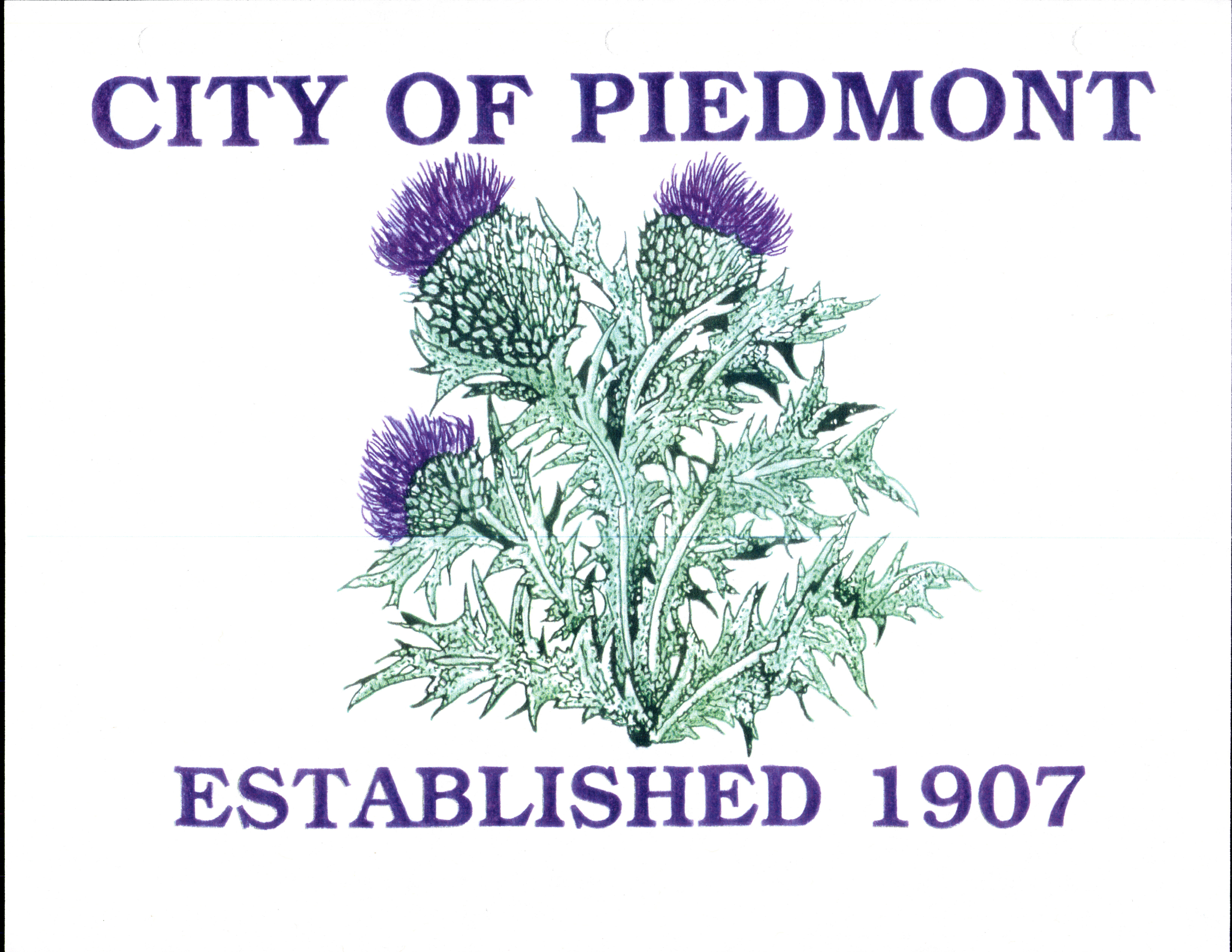 Image of the Flag of the City of Piedmont