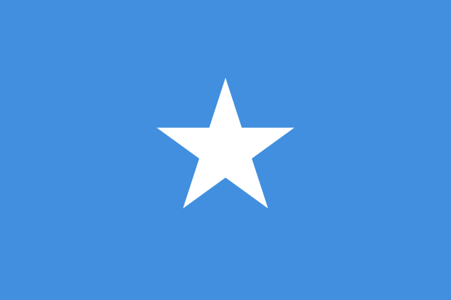 Image of the Flag of Somalia