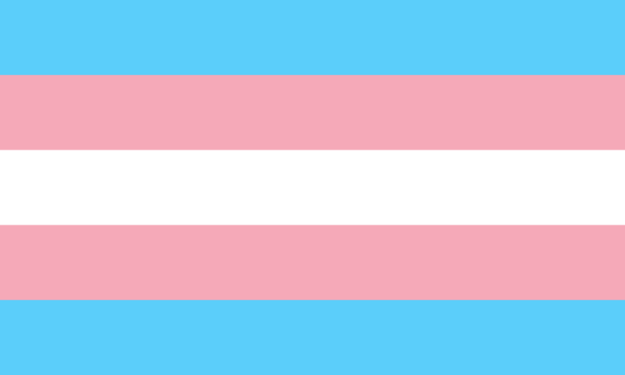 Image of the Transgender Flag